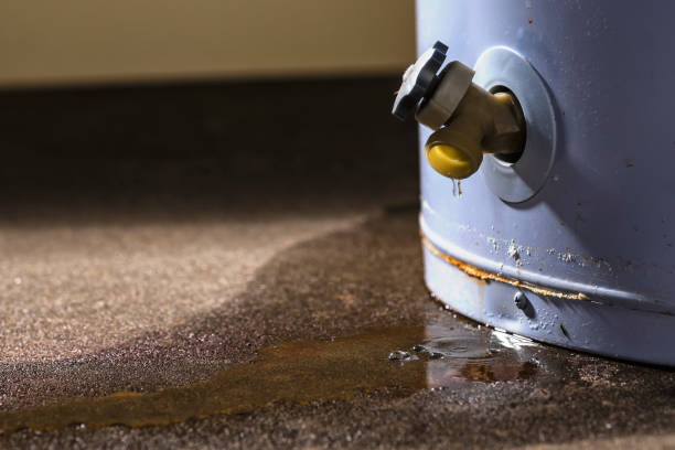 Best Basement water damage restoration  in Chelan, WA