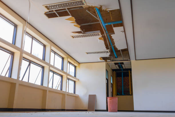 Best Local water damage restoration  in Chelan, WA