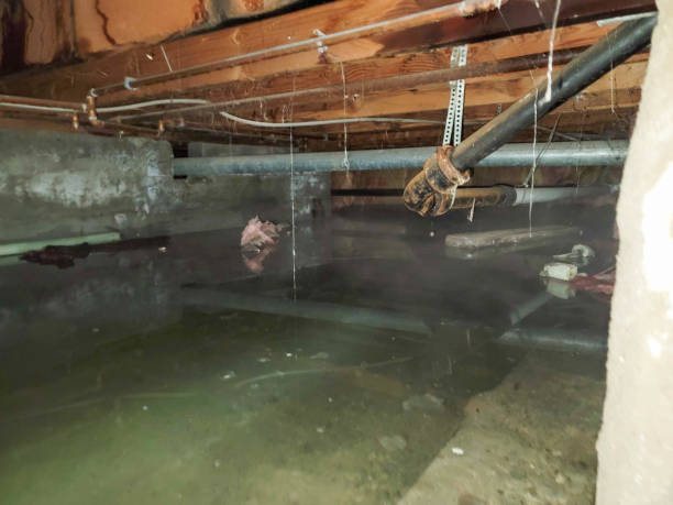 Best Water damage contractors near me  in Chelan, WA