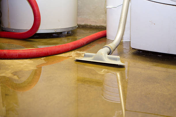 Best Flood restoration services  in Chelan, WA