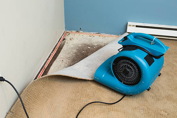 Best Water damage repair service  in Chelan, WA